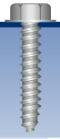 Self Tapping Screws